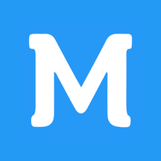 Maestro QA Auto Quality Assurance  icon